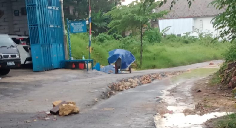 foto slider headline